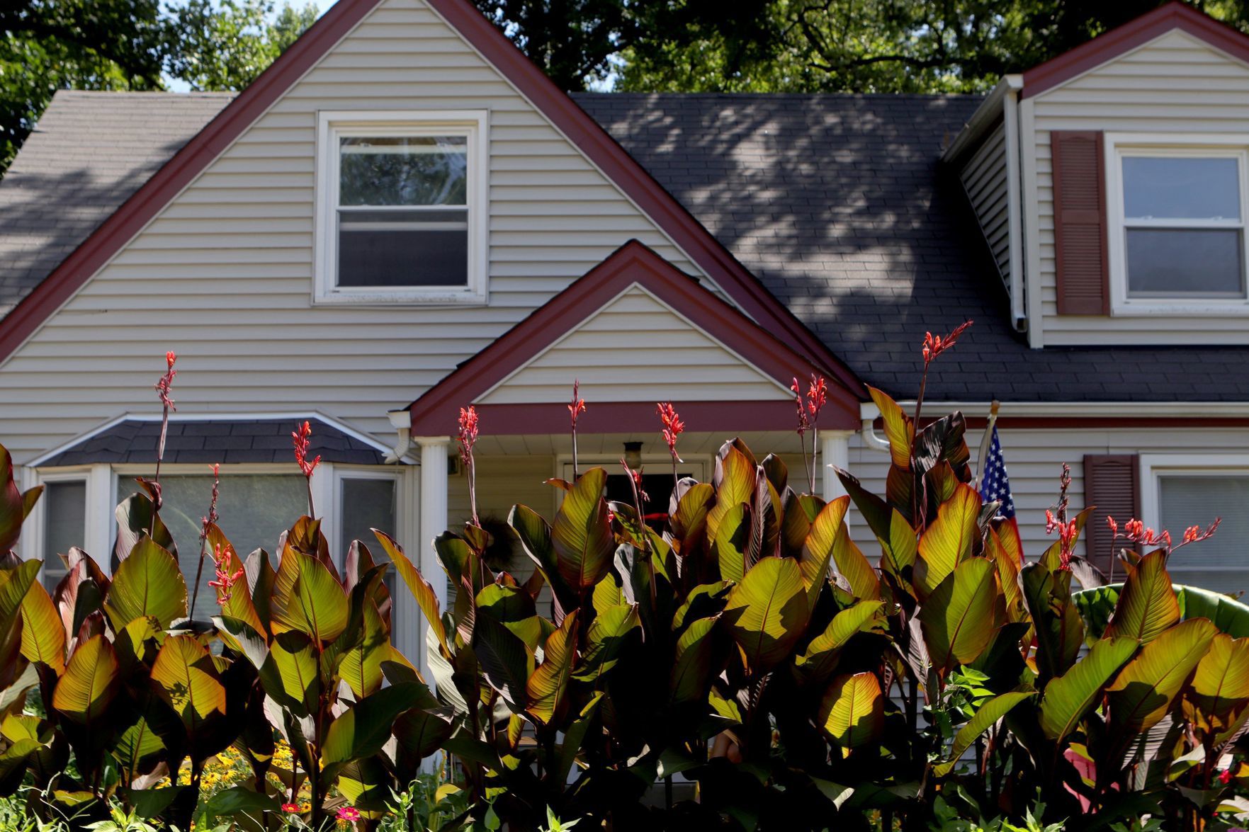At Home in Webster Groves garden
